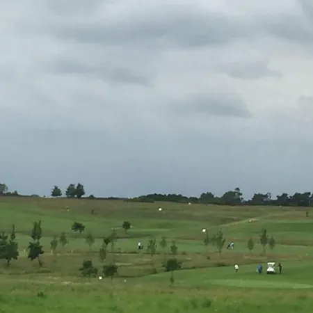 Dreamtime2 Fam Zimmermann Balm